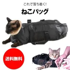 Item thumbnail for item fc85ab88-67d3-45c1-a8ac-2904d911cf62