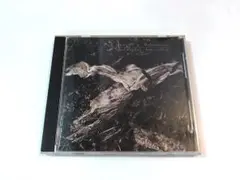 David Sylvian / Plight & Premonition