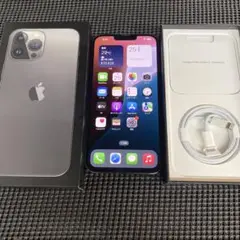 N79 iPhone 13 Pro Max 256GB 付属品完備 SIMフリー