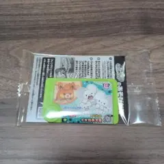ポケモンフレンダサーティワンオリジナルスペシャルフレンダピック未開封