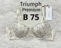 Item thumbnail for item 885b569b-7d12-4a69-a43d-4411aafa3adb