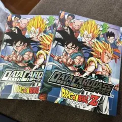【汚れあり】データカードダス ドラゴンボールZ カードケース　2005