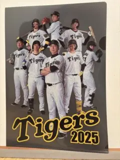 新品　阪神Tigers クリアファイルセット【2025】　３枚セット　値下げ！