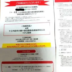 12月11日 十三代目市川團十郎白猿襲名披露貸切公演 ペアチケット引換券