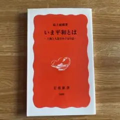 いま平和とは 人権と人道をめぐる9話