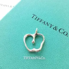 美品⭐TIFFANYu0026Co. ティファニー ネックレストップ アップル