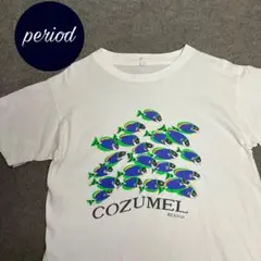 P2314 vintage 90s アニマル　魚　cozumel Tシャツ