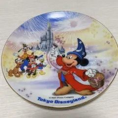 東京ディズニーランド 10周年記念プレート
