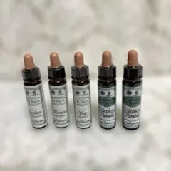 Item thumbnail for item 8acee1b2-c98b-47dd-9e07-6511122e5438