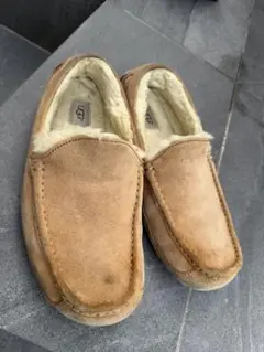 Item thumbnail for item 157b24b2-8ff2-44c7-9f2a-67f3ab499026