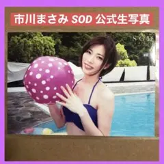 市川まさみ 公式 生写真 DVD 特典/ グラビアアイドル チェキ セクシー女優