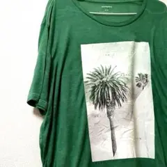 【訳あり】EXPRESS　ヴィンテージ　メンズ　Tシャツ　グリーン　XL