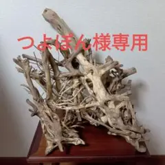 超豪華!最長部72cm特大流木 No.80