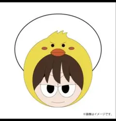 見本写真