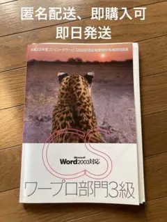 Microsoft Word 2003 対応 ワープロ部門 3 級