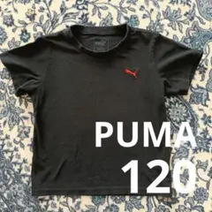 PUMA プーマ 黒 Tシャツ 120 無地 ブラック コットン 綿100%