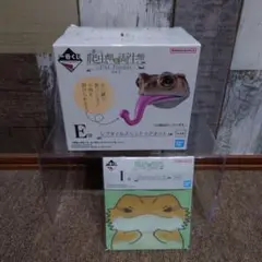 一番くじ 爬虫類＆両生類 E賞 レプタイルズヘッドマグネット ミヤコヒキガエル