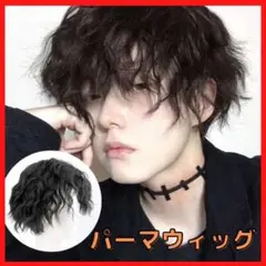 メンズ かつら ウィッグ 黒 スパイラルパーマ ブラック お洒落 変装 コスプレ