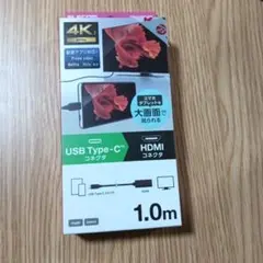 ELECOM 映像変換ケーブル
