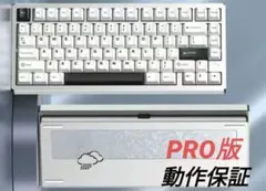 WOB Rainy75 Pro ギャラクティック シルバー 新品