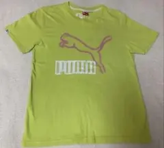 【お値下げ中】PUMA プーマ ロゴTシャツ Lサイズ