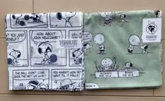 Item thumbnail for item e0e12bed-3a25-4028-ad56-a034c5526ef8