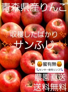 青森県産りんご サンふじ3キロ