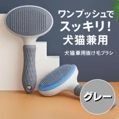 Item thumbnail for item 1a4dd530-7523-4595-9865-c197599088ac