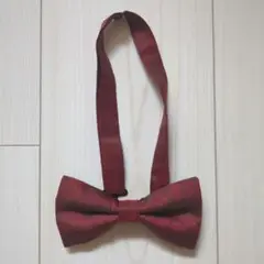 Item thumbnail for item 6fcdb5f1-9ec6-4172-8c41-86ff7cc0cb86