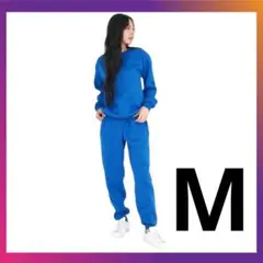 Item thumbnail for item 366d93d6-e59c-4660-bb54-64f4d2644560