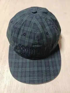 Item thumbnail for item 9e561cf9-28c8-4dae-a53e-6129bd8eb20e