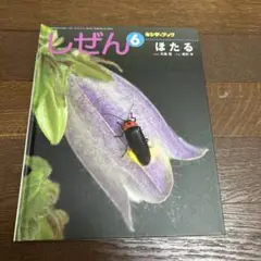 しぜん6 ほたる