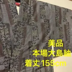 美品 着物 きもの 本場大島紬 紬 縦横 正絹 黒 155