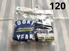 西松屋 肌着 下着 インナー ブリーフパンツ 120 新幹線 電車