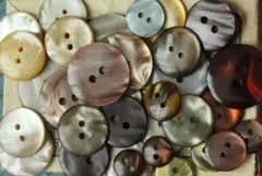 プラスチックボタン 35個 φ11〜27mm フランス輸入 #416