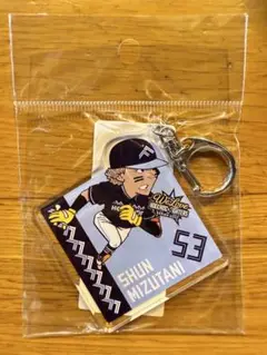 【非売品】ファンクラブ限定 ファイターズ　水谷瞬　イラストアクリルキーホルダー