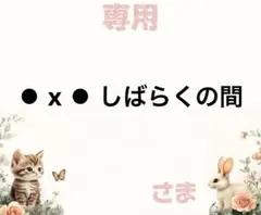 専用