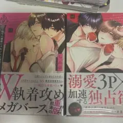 こんなの運命じゃないから勘違いしないで上下