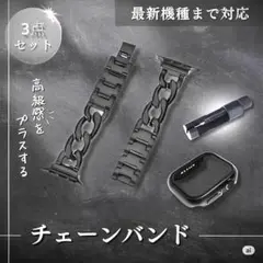 【44mm】Apple Watch チェーンバンド カバー 調整器具 ブラック