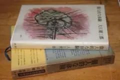 個人的な体験 大江健三郎著