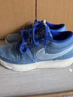 中古品 NIKE 限定 ブック1 Blue Blood EP 28 cmブッカー