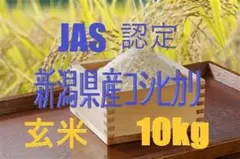 無農薬無肥料JAS認定新潟県令和3年産コシヒカリ 玄米10kg