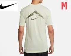 Item thumbnail for item 2579577e-2724-4050-9058-17ba25647ebf