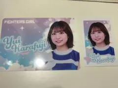 Item thumbnail for item 42c4851d-fb83-43eb-bd4b-aeef3e807583