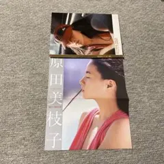 原田美枝子 切り抜き 13カット撮影勝新太郎