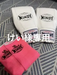 ボクシング用グローブ M