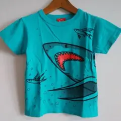 オジコサメとペンギンのTシャツ 6A110-120