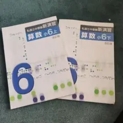 私国立受験新演習 6年上下セット