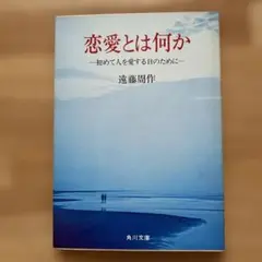 恋愛とは何か　初めて人を愛する日のために