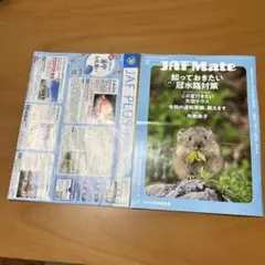 JAF Mate 2025年 冠水対策特集　クーポン付き